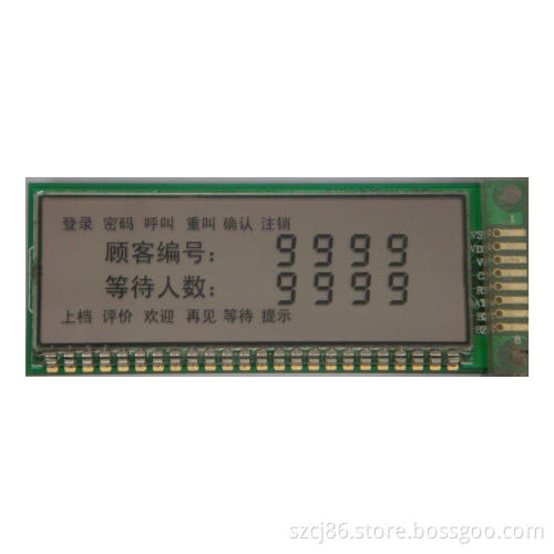 Segment LCD (CM6191)